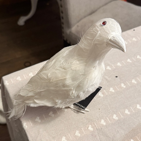 Ashland Black Spiked Decorative Crow with Iridescent Sequin Accent bundle new - Picture 3 of 4